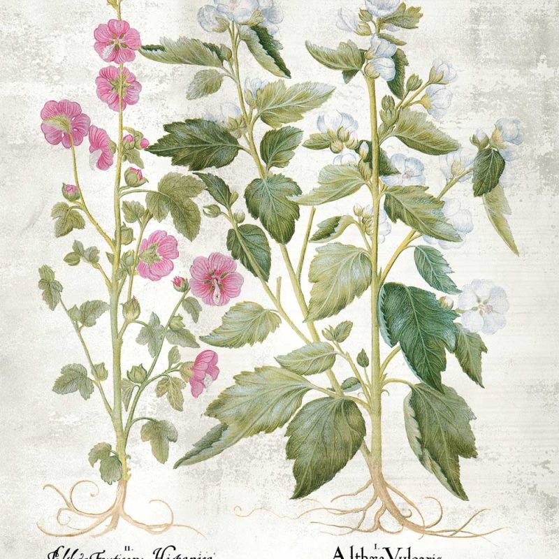 Pastelowe kwiaty na plakacie Pastelowe kwiaty na plakacie