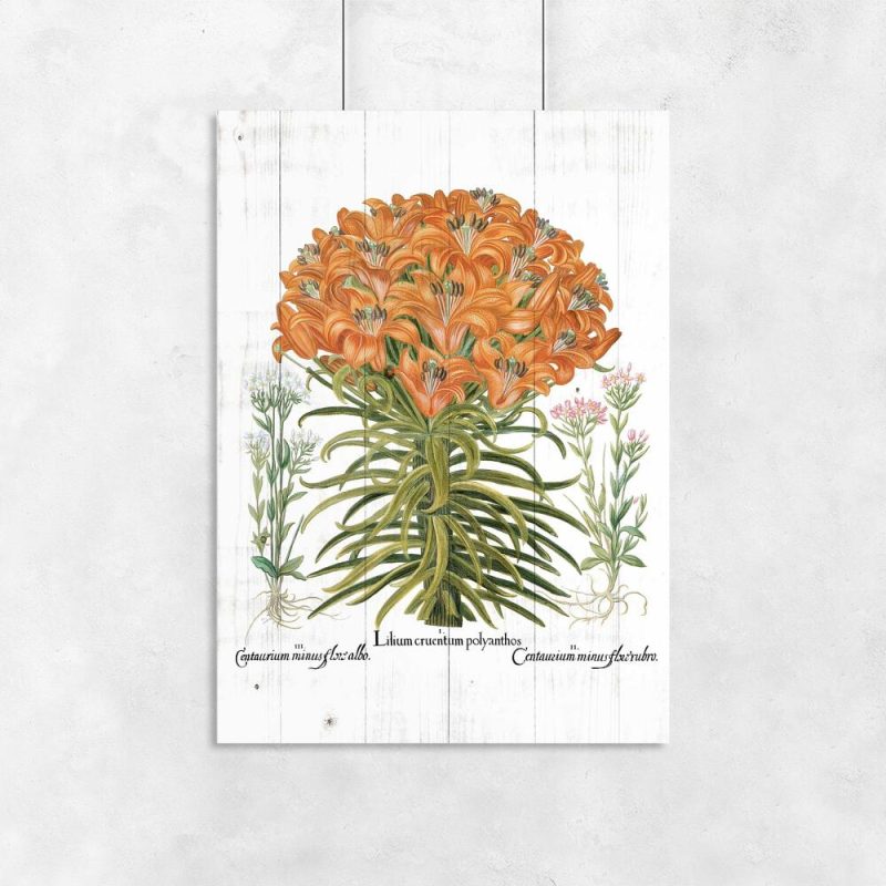 Plakat botaniczny - Pomarańczowe lilie z cętkami do biura