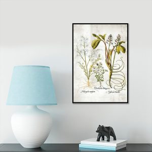 Plakat botaniczny z białymi kwiatuszkami do gabinetu