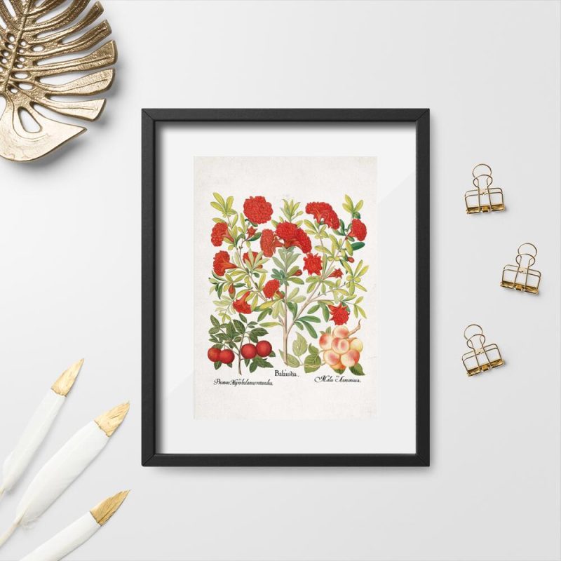 Plakat czerwone kwiaty i owoce