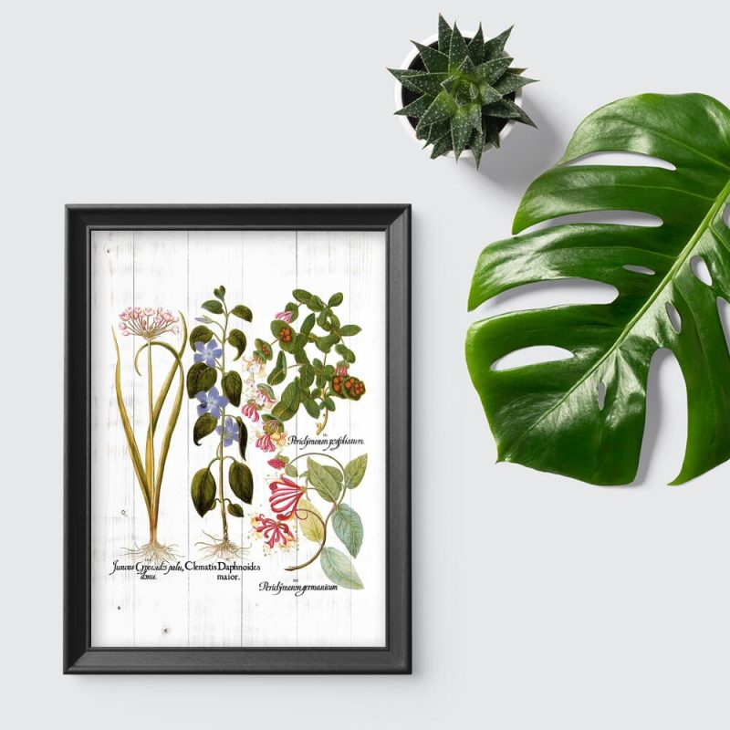 Plakat dydaktyczny z motywem roślin i ich nazw