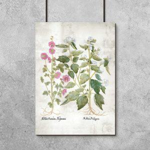 Plakat edukacyjny z kwiatuszkami w dwóch kolorach