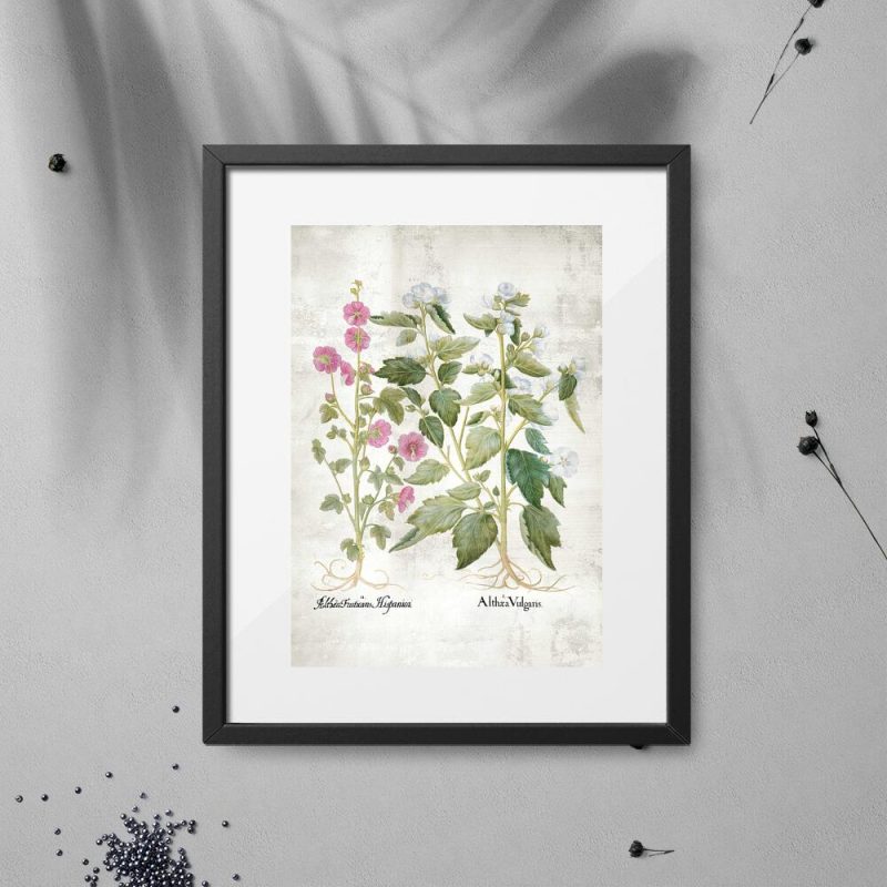 Plakat edukacyjny z motywem kwiatowym Plakat edukacyjny z motywem kwiatowym