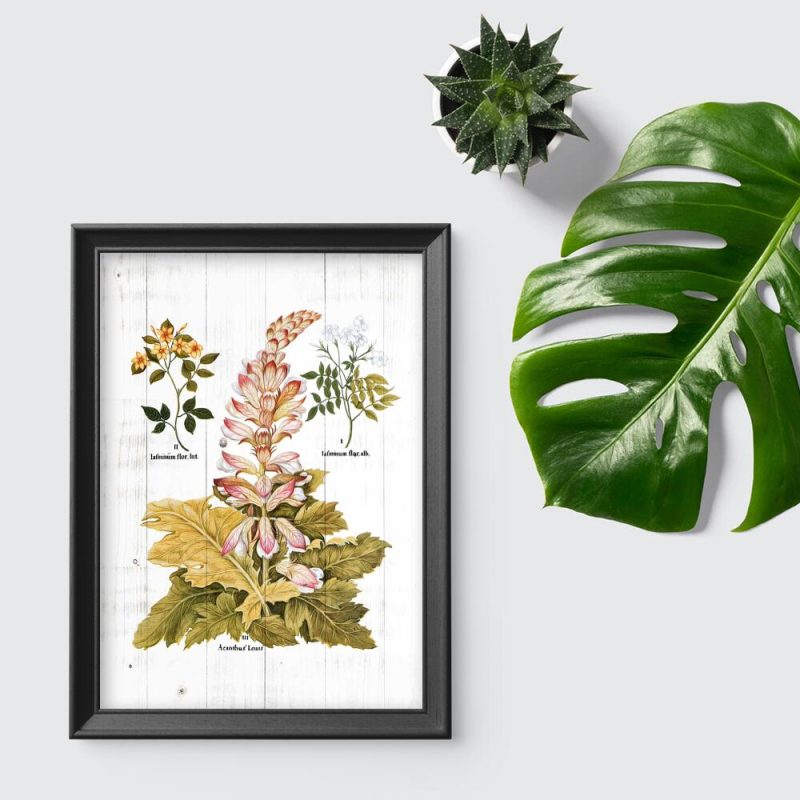 Plakat edukacyjny z roślinami