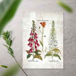 Plakat kwiaty ogrodowe - edukacyjna dekoracja