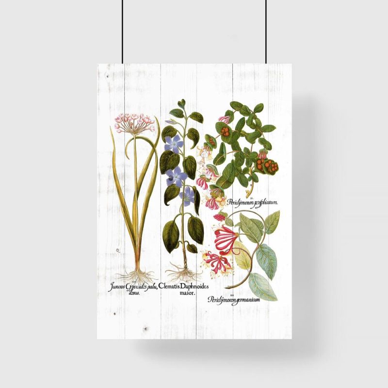 Plakat rośliny na tle desek