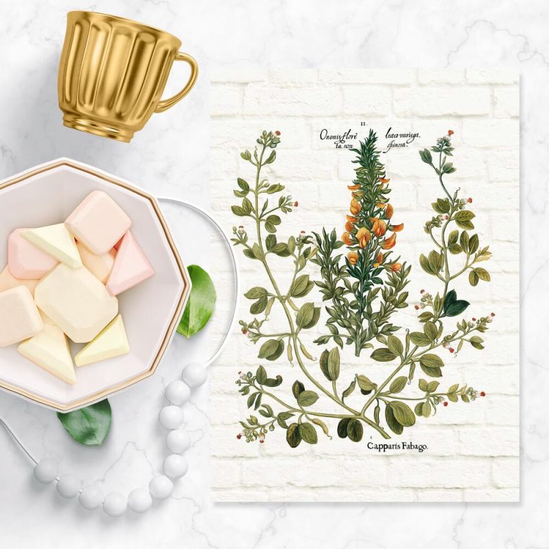 Plakat rustykalny z kuchennymi dodatkami Plakat rustykalny z kuchennymi dodatkami