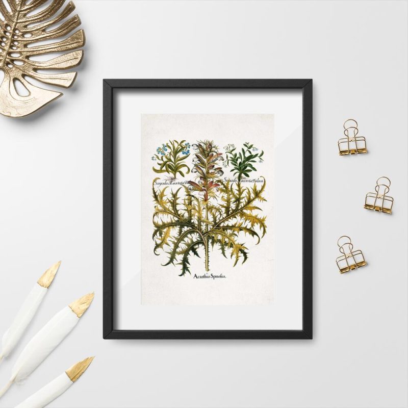 Plakat rustykalny z liśćmi akantu Plakat rustykalny z liśćmi akantu