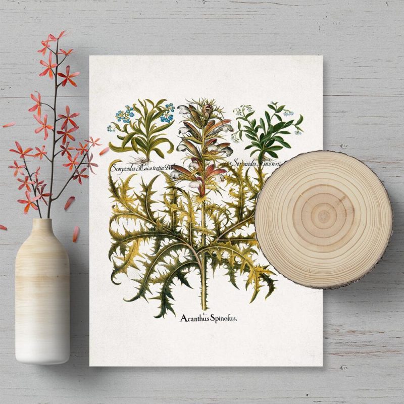 Plakat rustykalny z niezapominajką Plakat rustykalny z niezapominajką