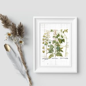 Plakat rustykalny z roślinami ozdobnymi