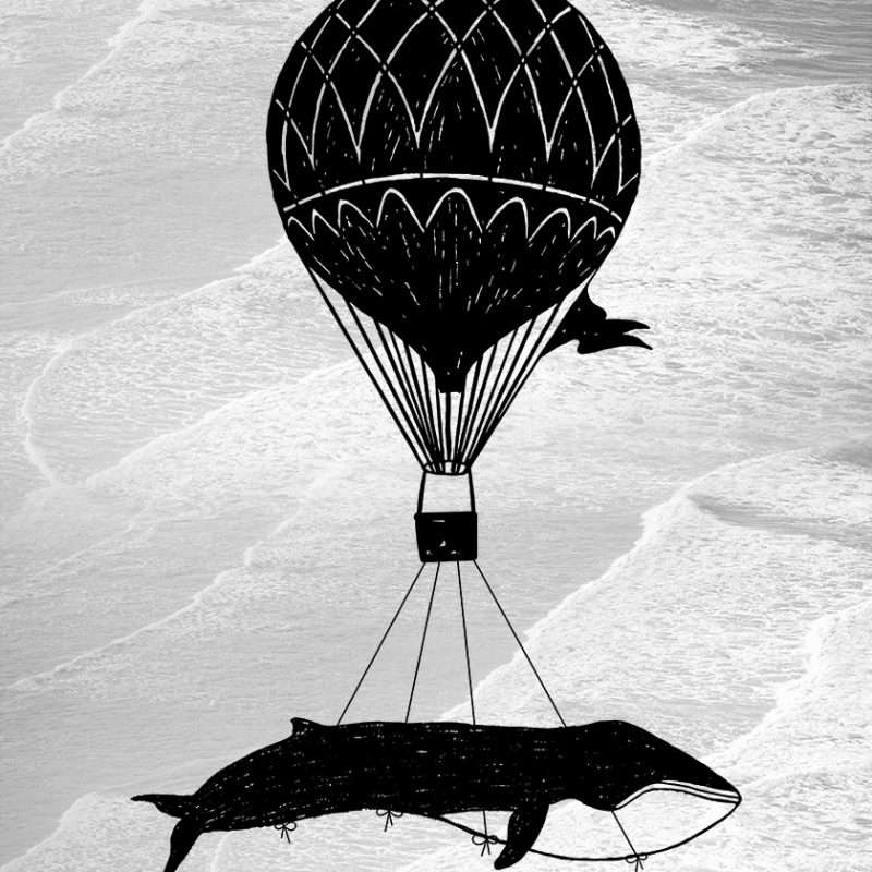 Plakat z balonem i wielorybem Plakat z balonem i wielorybem