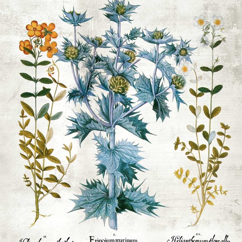 Plakat z kwiatami w stylu rustykalnym