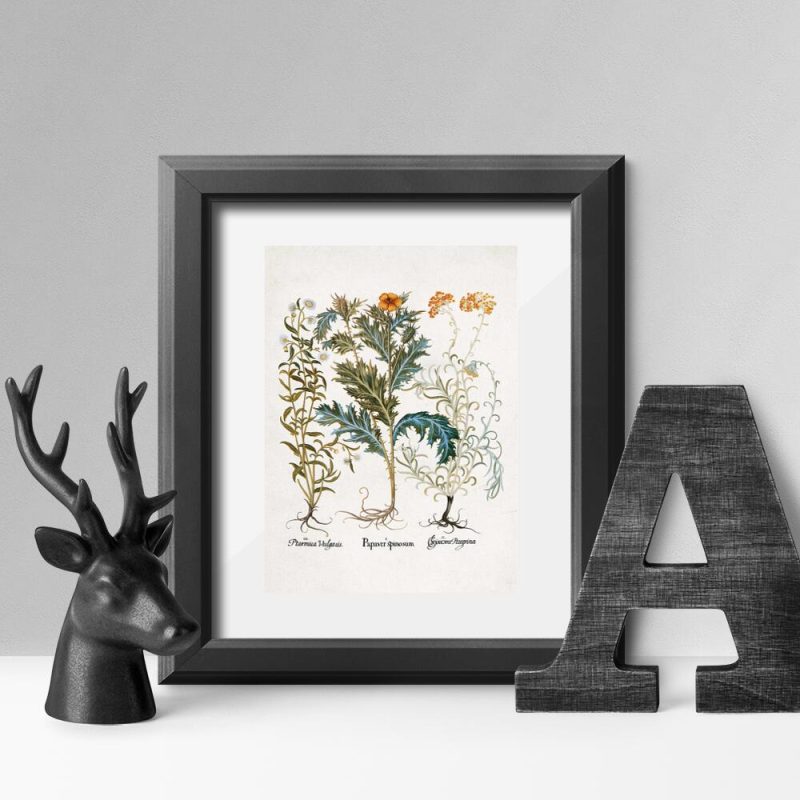 Plakat z makiem do powieszenia w sklepie Plakat z makiem do powieszenia w sklepie