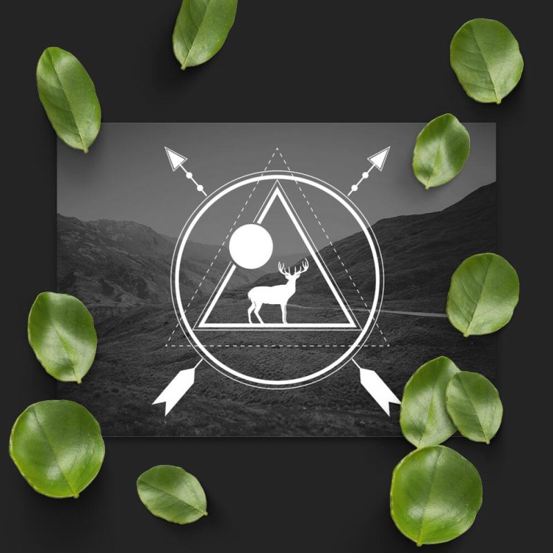 Plakat z motywem jelenia do przedpokoju Plakat z motywem jelenia do przedpokoju