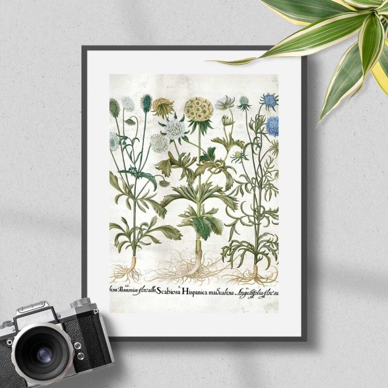 Plakat z motywem kwiatuszków