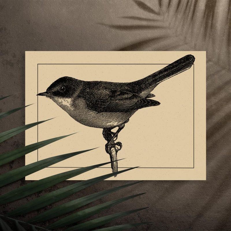 Plakat z motywem ptaszka bez ramy Plakat z motywem ptaszka bez ramy