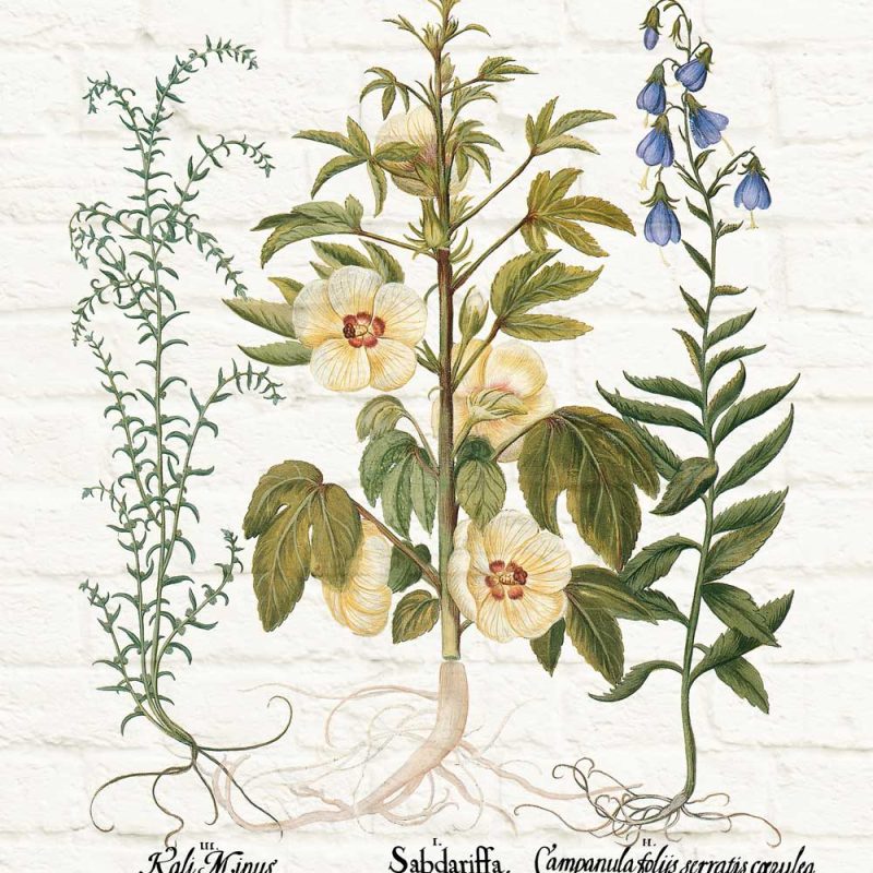 Plakat z motywem roślin na tle cegieł