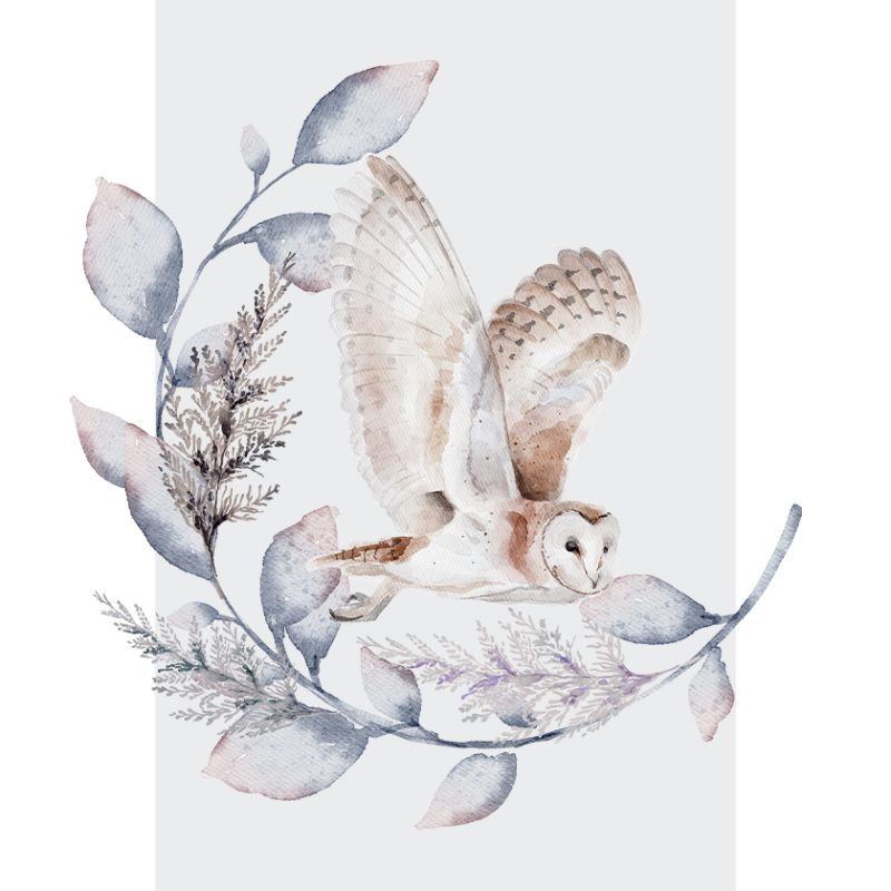 Plakat z motywem sowy Plakat z motywem sowy