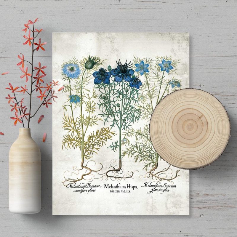 Plakat z niebieskimi kwiatuszkami