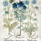 Plakat z niebieskimi kwiatuszkami zielnymi
