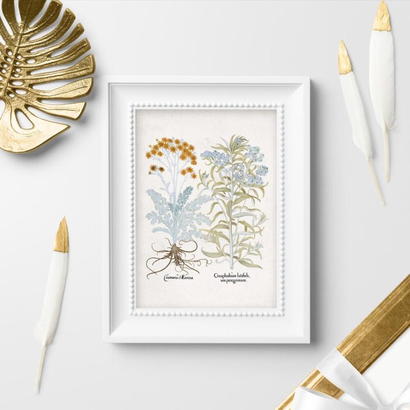 Plakat z roślinami ozdobnymi do Twojego ogrodu Plakat z roślinami ozdobnymi do Twojego ogrodu