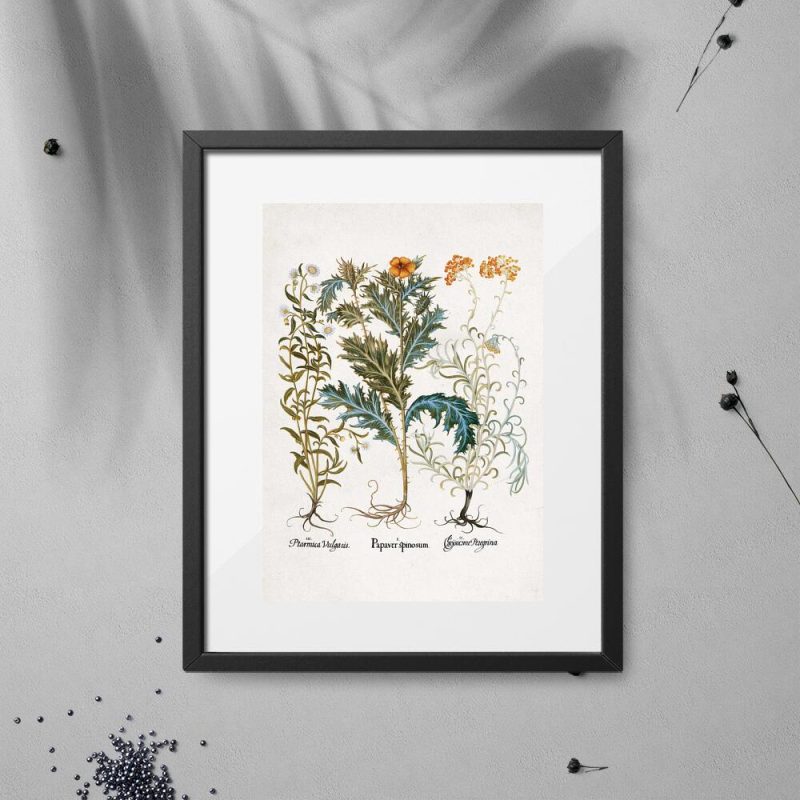 Plakat z wrotyczem do powieszenia w sklepie Plakat z wrotyczem do powieszenia w sklepie