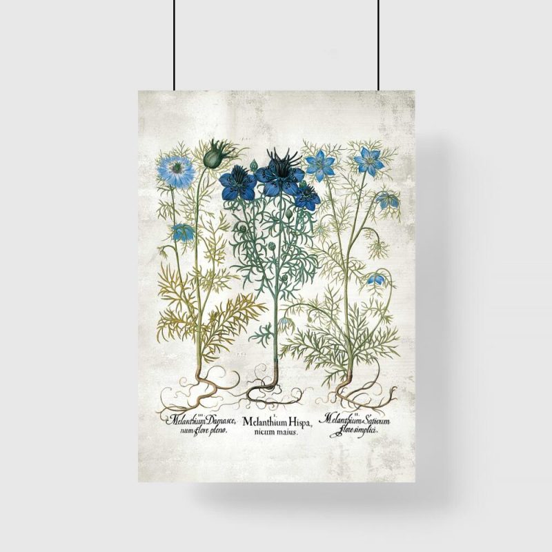 Plakat z z polnymi kwiatami