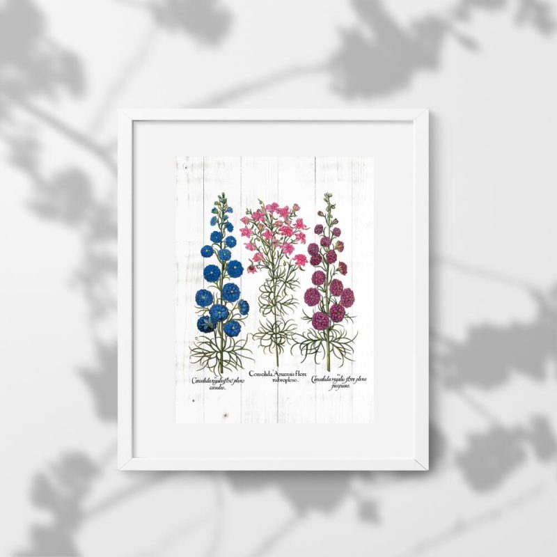 Plakat z ziołami w rozkwicie Plakat z ziołami w rozkwicie