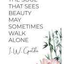 Plakat ze słowami J. W. Goethe o duszy