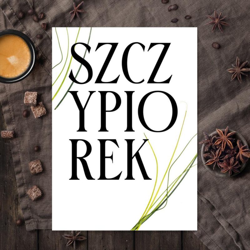 plakat zielarski przedstawiający szczypiorek