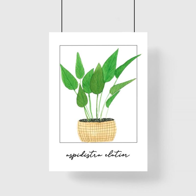 Plakat z rośliną do salonu