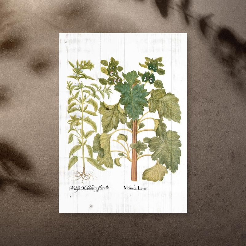 Rustykalny plakat z motywem roślin
