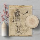 Plakat - Anatomia na papirusie