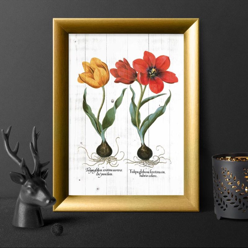 Plakat z tulipanami do przedpokoju