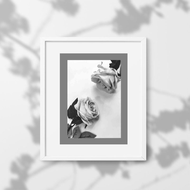 Czarno-biały plakat z różami