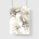 plakat z kwiatami peonii w kolorze białym