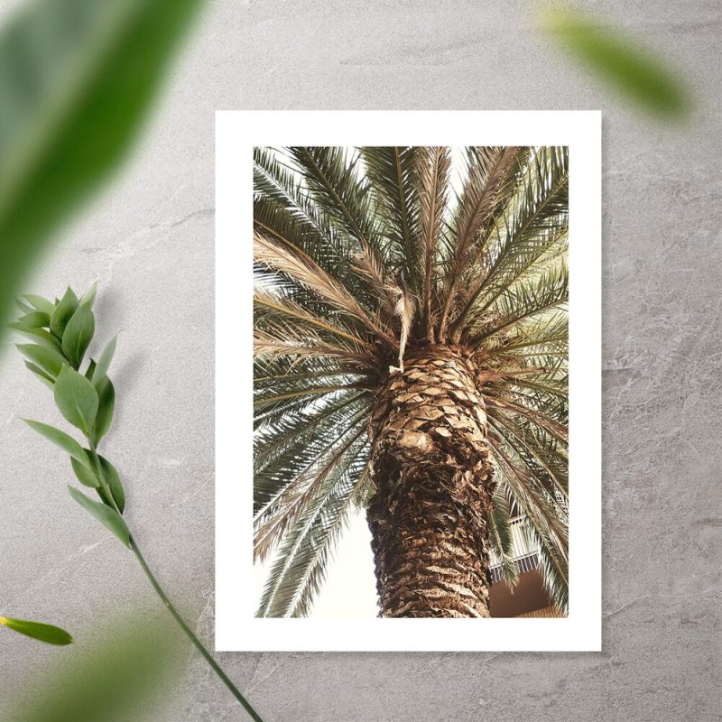 Plakat do biura podróży - Motyw egzotycznej palmy