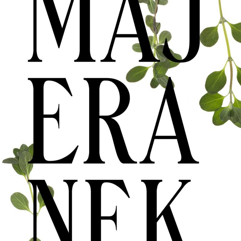 plakat z majerankiem