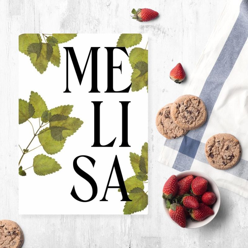 zielarski plakaz ze zdjeciemmelisy