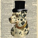 Plakat - łaciaty pies w kapeluszu