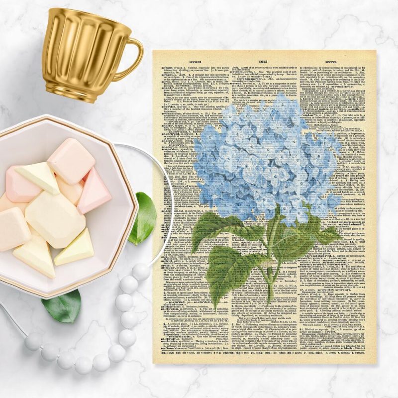 Plakat z motywem botanicznym - hortensja