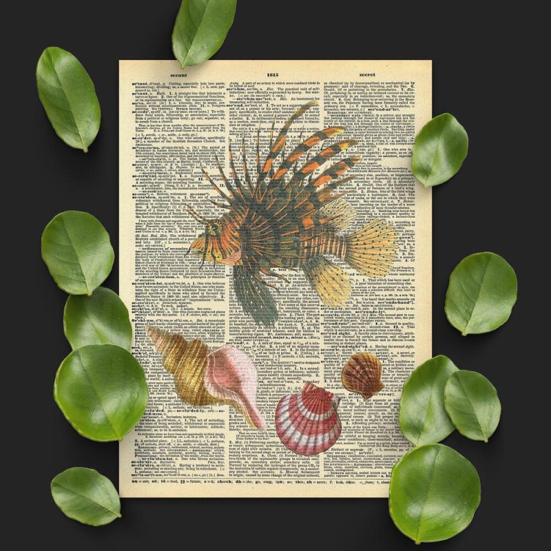 Plakat z muszelkami