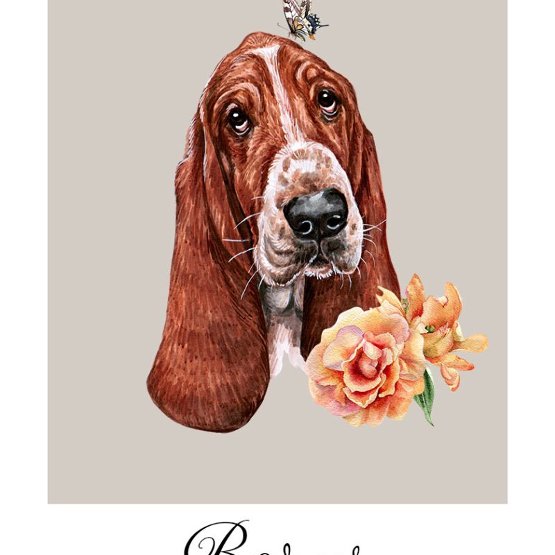 plakat z psem basset