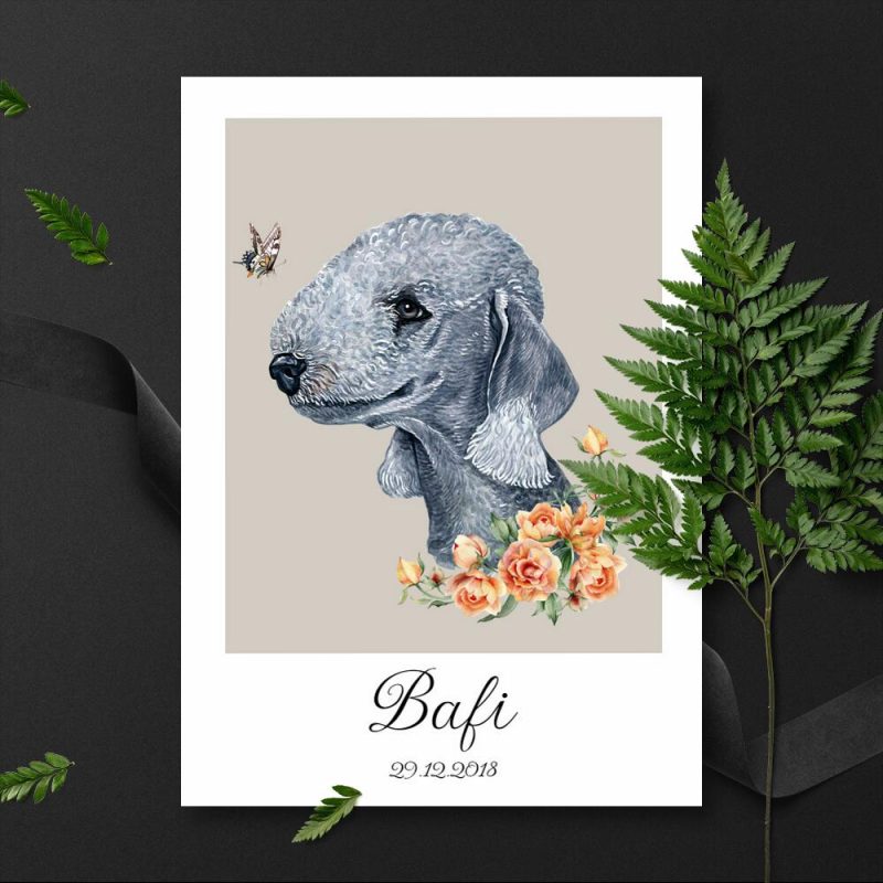 plakat z metryczką dla psa bedlington terrier plakat z metryczką dla psa bedlington terrier
