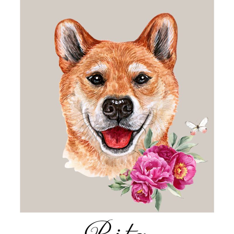 Plakat z metryczką dla psa - Rita
