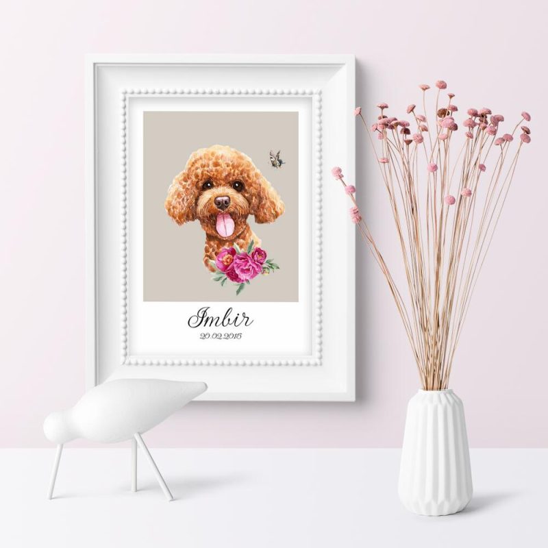 Plakat z rasą pudel do powieszenia w salonie Plakat z rasą pudel do powieszenia w salonie