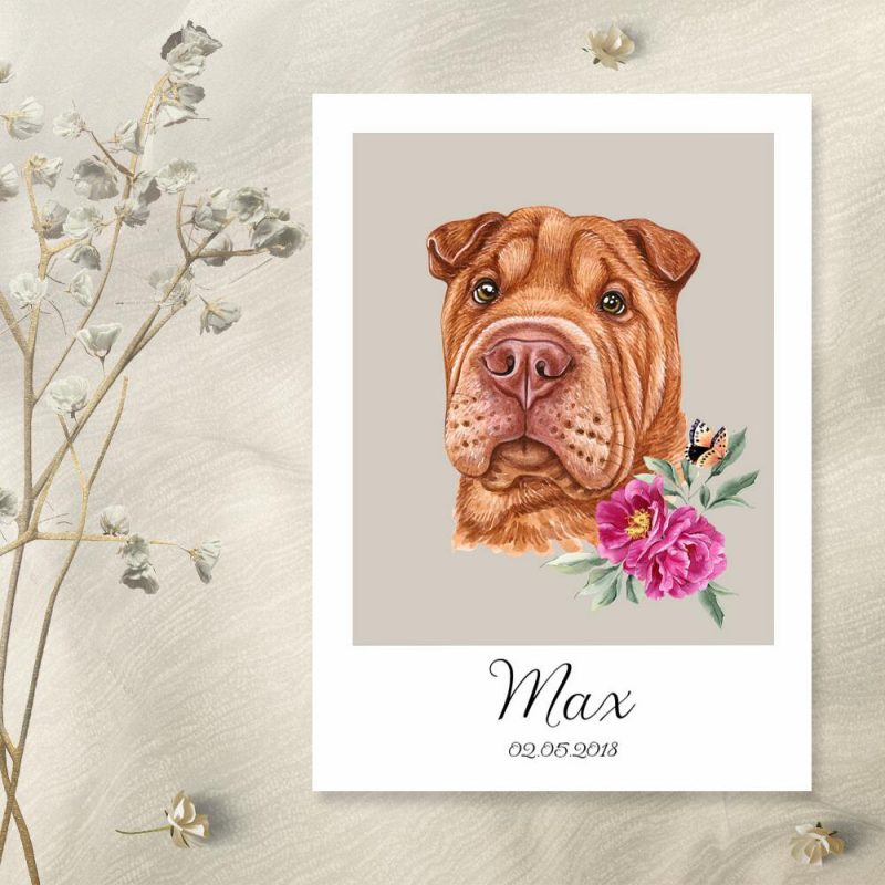 Plakat z shar pei - podobizna Plakat z shar pei - podobizna
