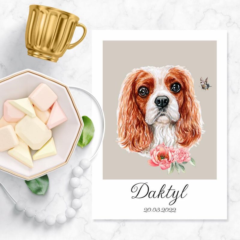 plakat przedstawiający psa Cavalier king charles spaniel plakat przedstawiający psa Cavalier king charles spaniel