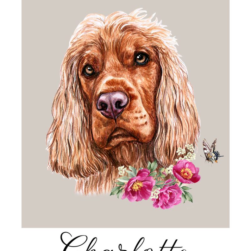 plakat z cocker spanielem plakat z cocker spanielem