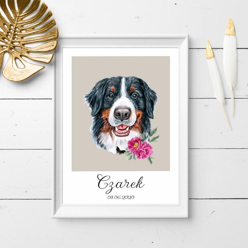 plakat z metryczką dla berneńskiego psa pasterskiego plakat z metryczką dla berneńskiego psa pasterskiego